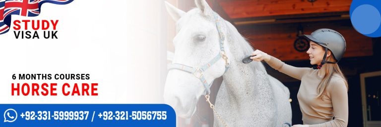 Study Visa UK Certificate in Horse care Course 6 Months