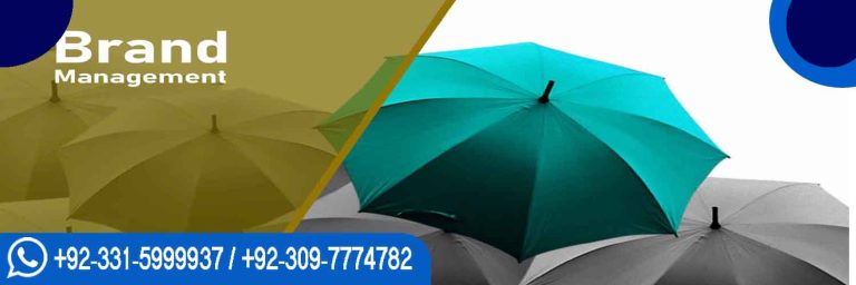 Diploma in Brand Management