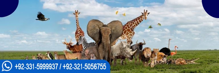 UKQ UK Approved International Diploma in Wildlife Management Course in Islamabad Pakistan
