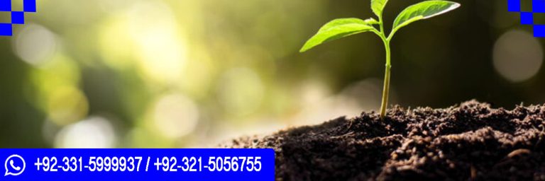 ICTQual level 3 Award in Ecology