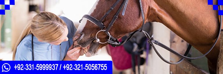 ICTQual Level 3 Award in Stable Management