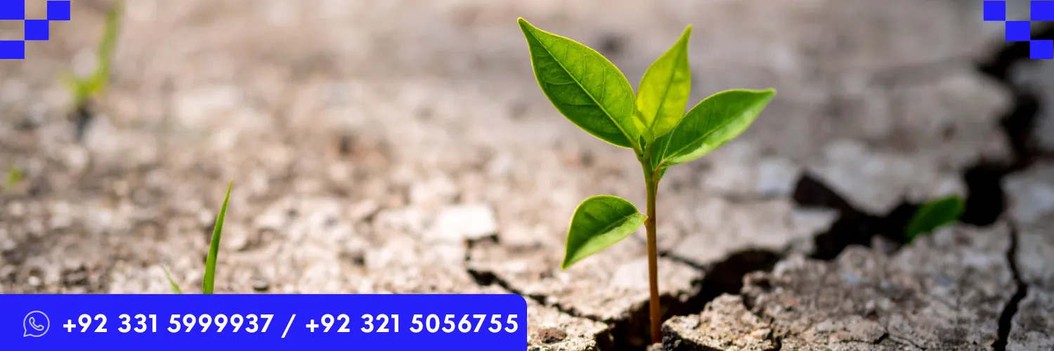 ICTQual AB Level 3 Certificate in Digital Quality – Resilience