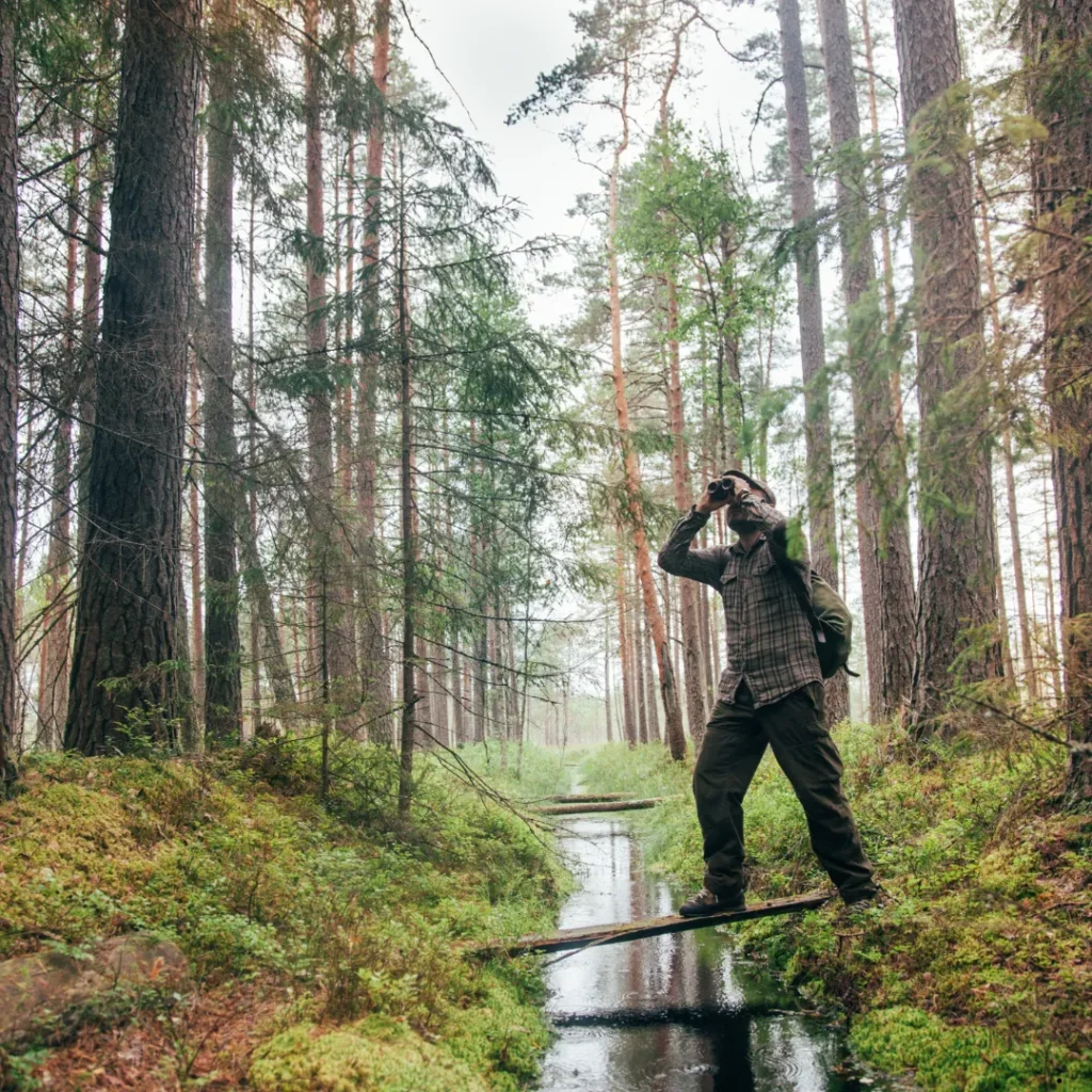 ICTQual Level 2 Award in Bird Watching Techniques
