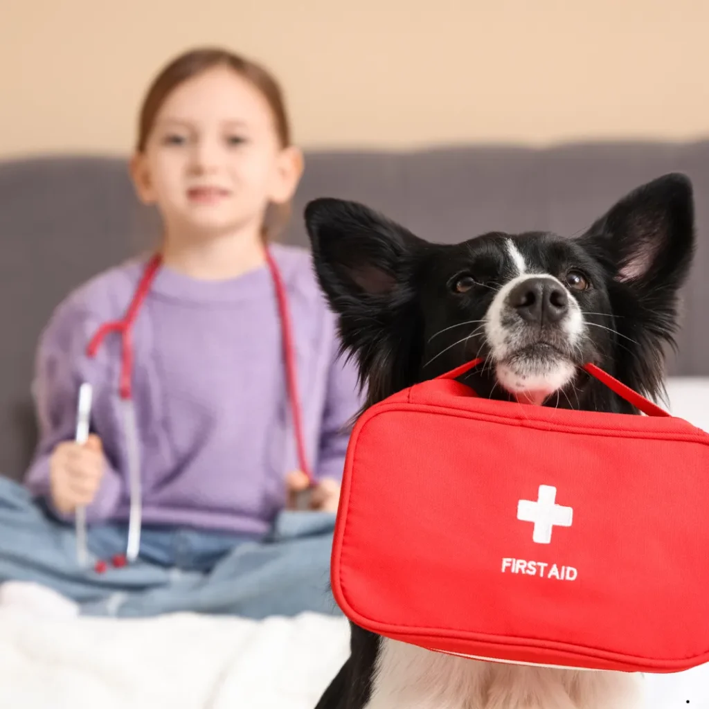 ICTQual Level 2 Award in Principles of First Aid for Cats and Dogs