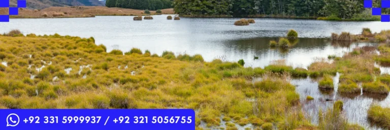 ICTQual Level 2 Award in Principles of Protected Areas Management