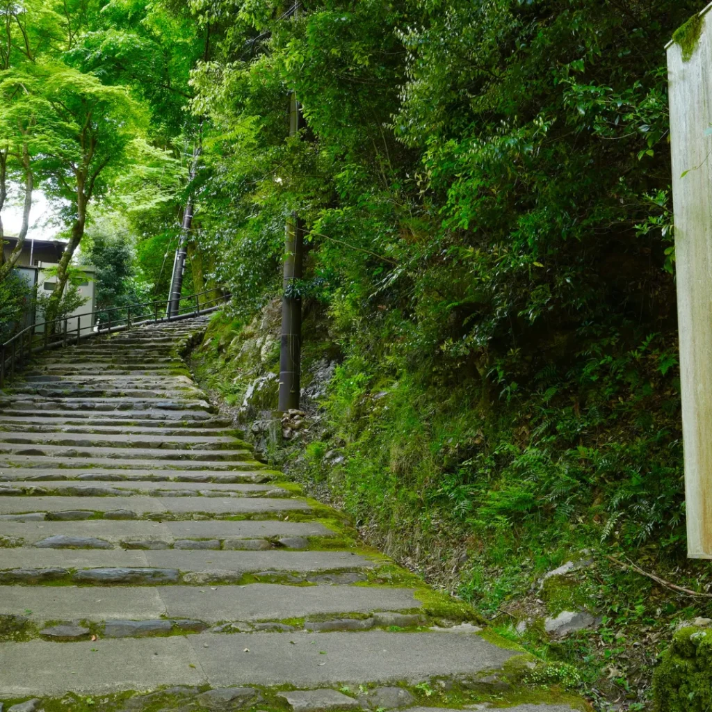 ICTQual Level 2 Award in Principles of Protected Areas Management