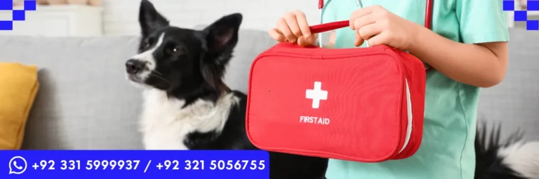 ICTQual Level 3 Award in Canine First Aid