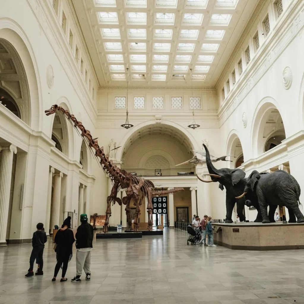 ICTQual Level 3 Award in Natural History Museum Development