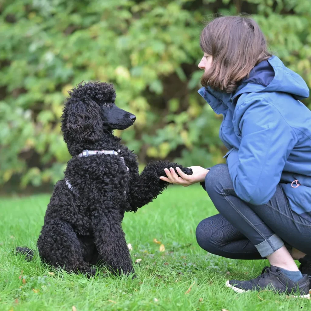 ICTQual Level 3 Certificate in Animal Behavior and Adaptations