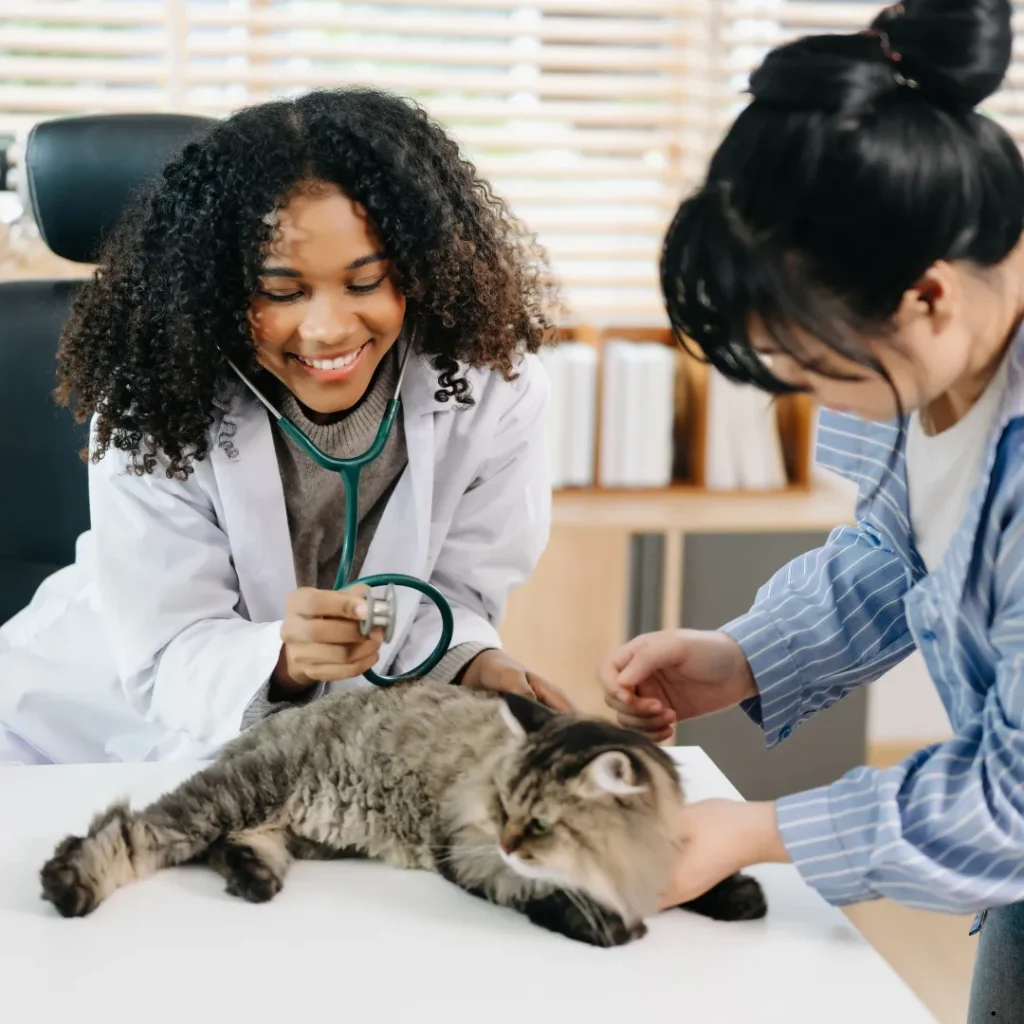 ICTQual Level 3 Diploma in Veterinary Nursing (Companion Animal)