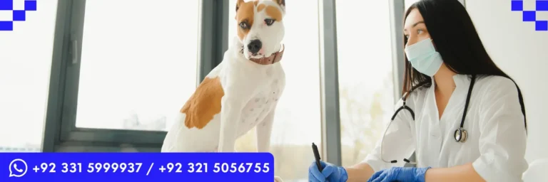 ICTQual Level 4 Award for Animal Medicines Advisors (SQP – Companion Animal)