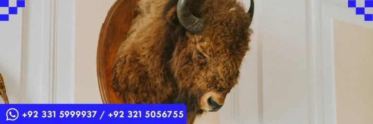 ICTQual Level 4 Diploma in Taxidermy and Animal Preservation Techniques