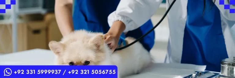 ICTQual Level 5 Advanced Diploma in Veterinary Nursing (Medical)