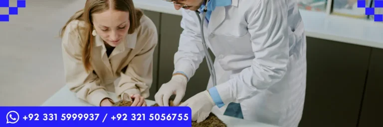 ICTQual Level 5 Diploma in Advanced Veterinary Nursing (Emergency and Critical Care)