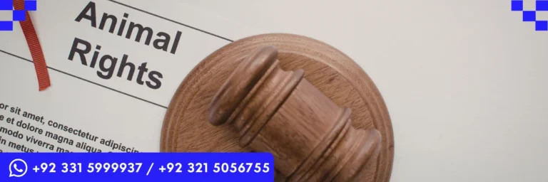 ICTQual Level 7 Diploma in Animal Rights and Wildlife Legislation