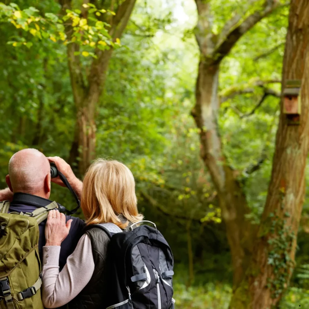 ICTQual Level 7 Diploma in Bird Watching Techniques