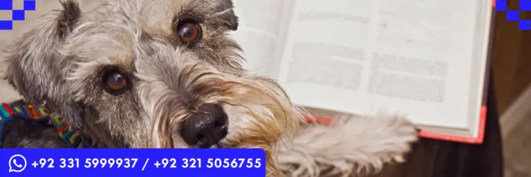 ICTQual Level 7 Diploma in Mammalogy and Small Mammals Study Techniques