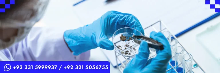 QualCert International Certificate in Quality of Life – Life Experiences