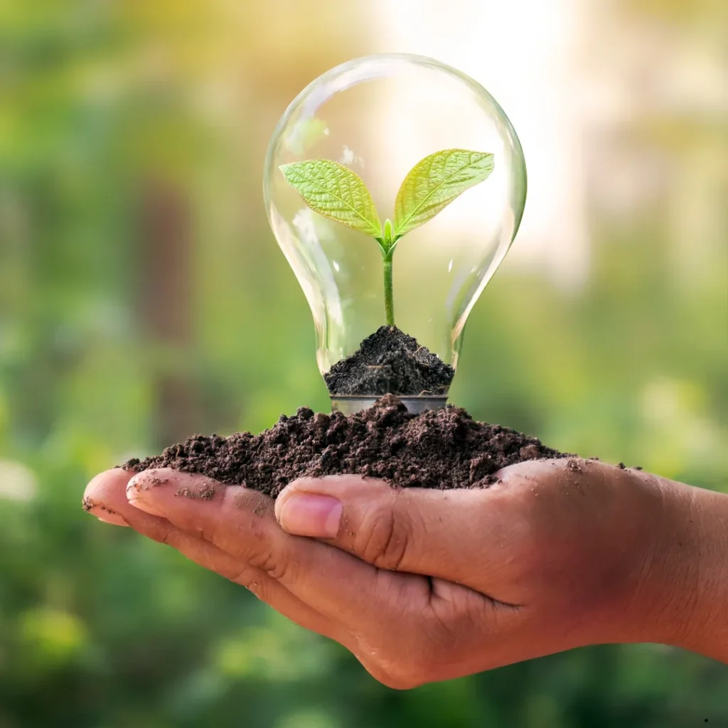 LICQual ISO 14001:2026 EMS (Environmental Management System) Foundation Course