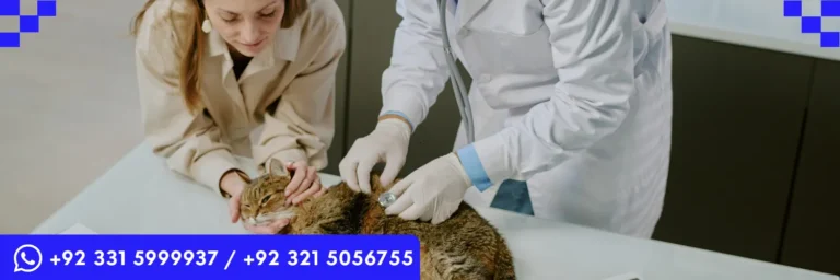 LICQual Level 3 Certificate in Veterinary Pharmacy (Cert Veterinary Pharmacy)