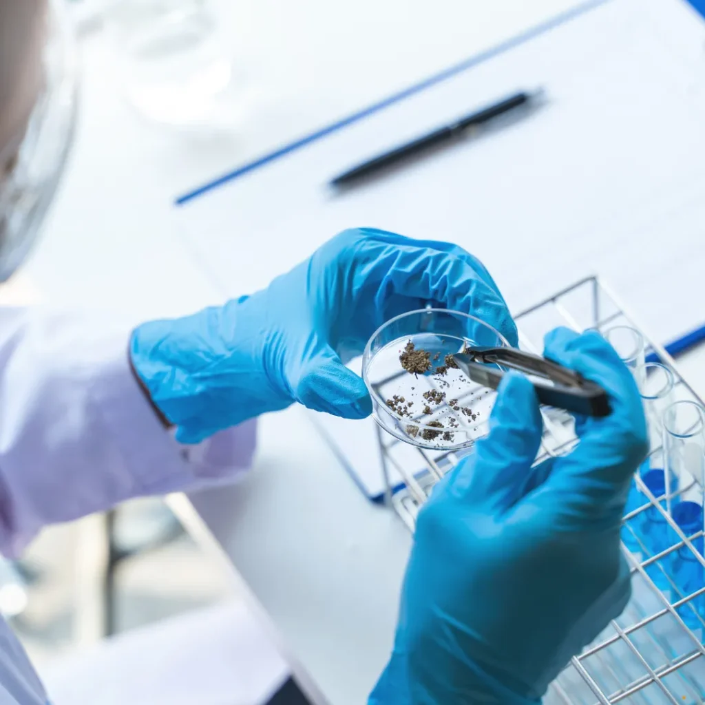 LICQual Level 3 Diploma in Biopharmaceutical Sciences (Dip Biopharmaceutical Sciences)