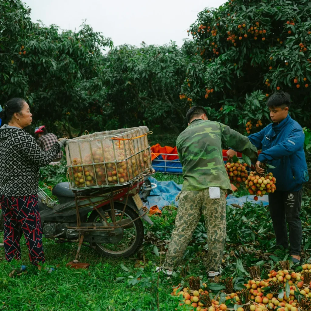 OSHAA 30-Hours Professional Diploma in Farm Safety