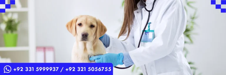 QualCert Level 6 Diploma in Veterinary Pharmacy (D Veterinary Pharmacy)