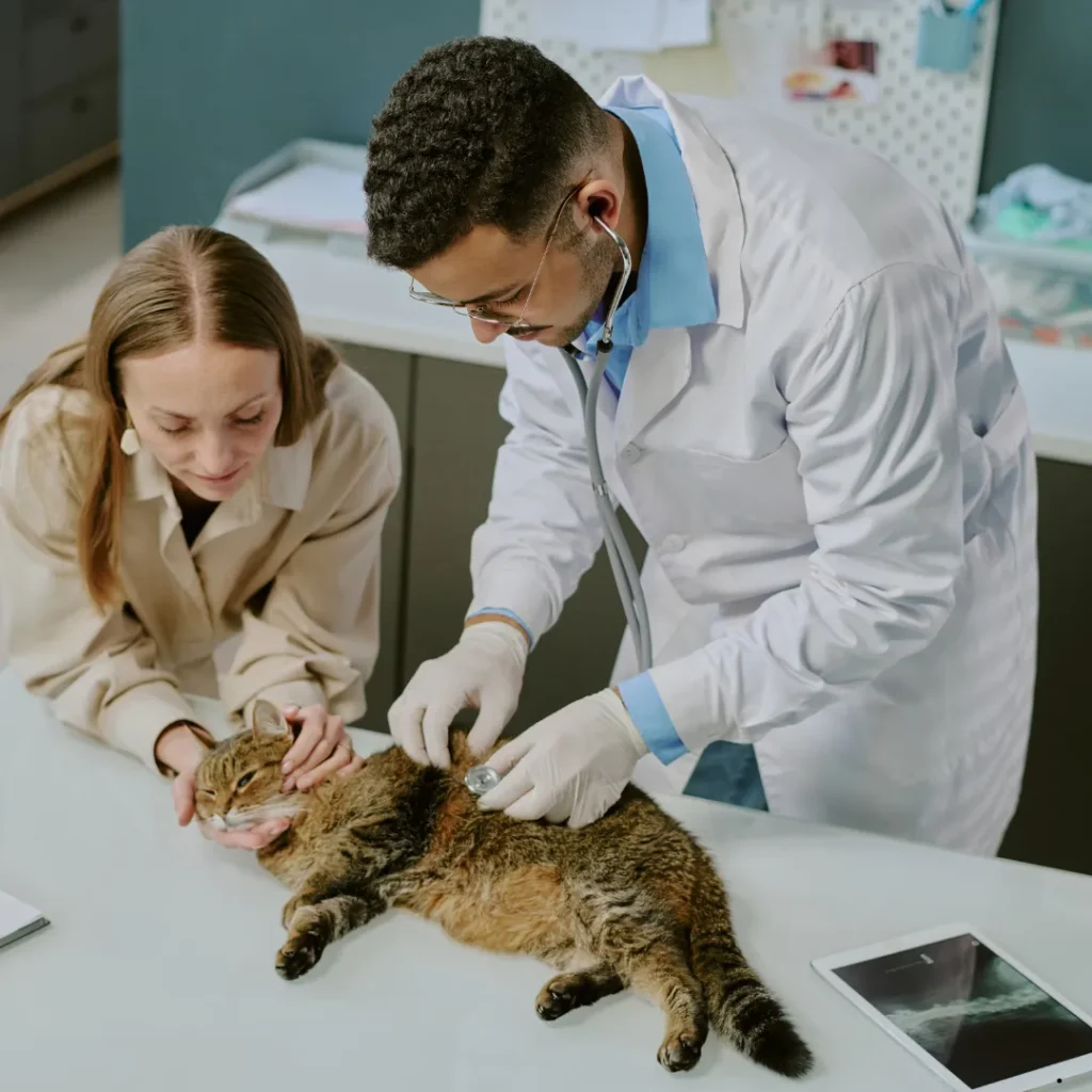 QualCert Level 6 Diploma in Veterinary Pharmacy (D Veterinary Pharmacy)