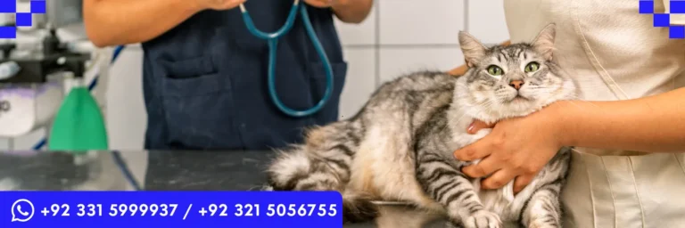 QualCert Level 7 Postgraduate Diploma in Veterinary Pharmacy (PgD Veterinary Pharmacy)