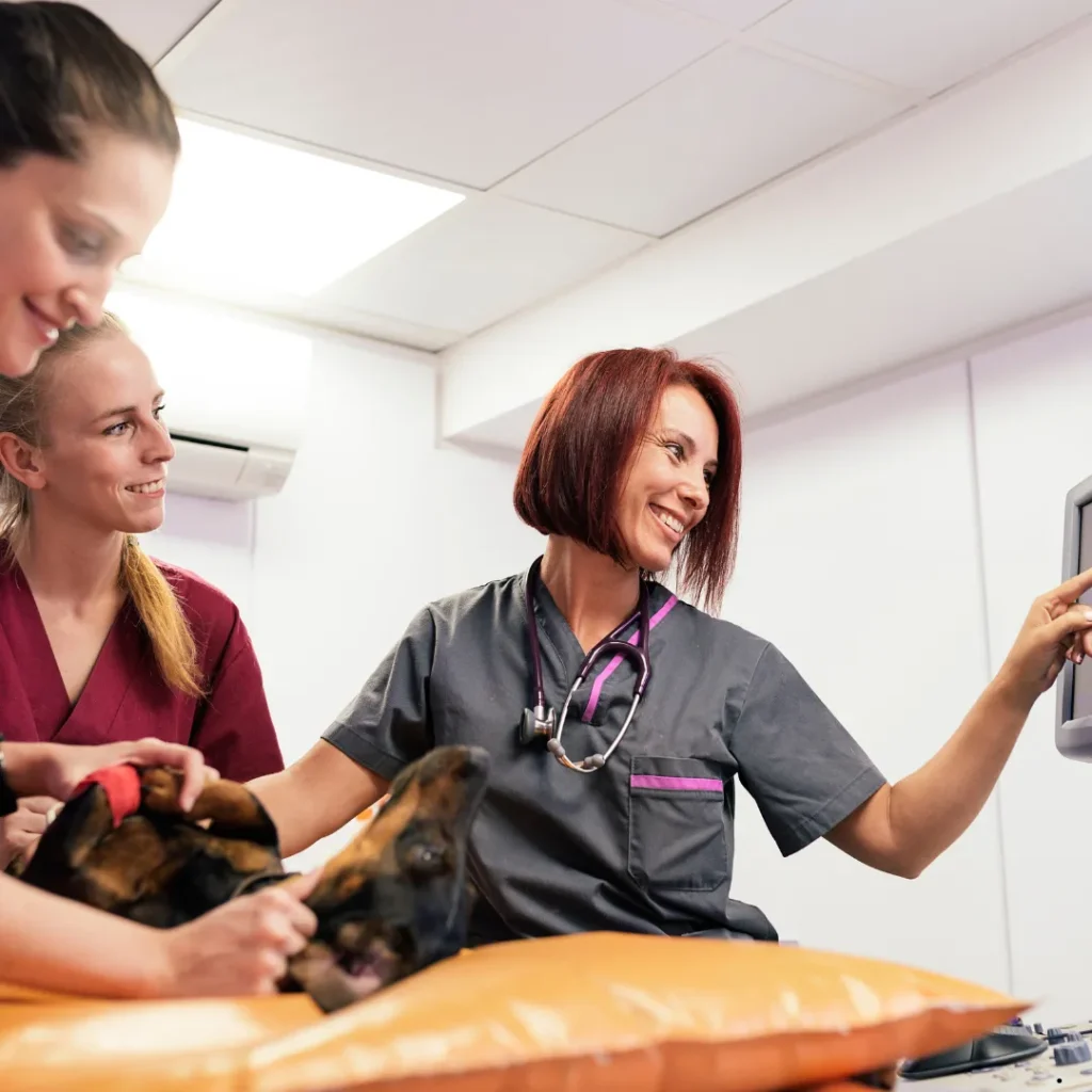 QualCert Level 7 Postgraduate Diploma in Veterinary Pharmacy (PgD Veterinary Pharmacy)