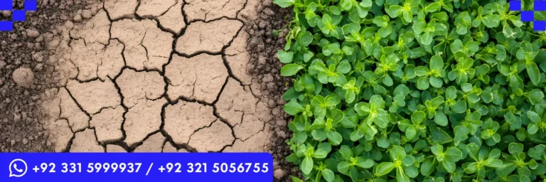 ICTQual AB Level 6 International Diploma in Climate Change & Sustainability Studies