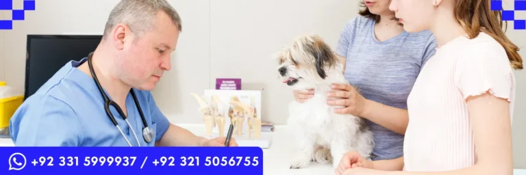 LICQual Level 6 Diploma in Veterinary Pharmacy (D Veterinary Pharmacy) 