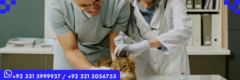 LICQual Level 6 Diploma in Veterinary Pharmacy (D Veterinary Pharmacy)