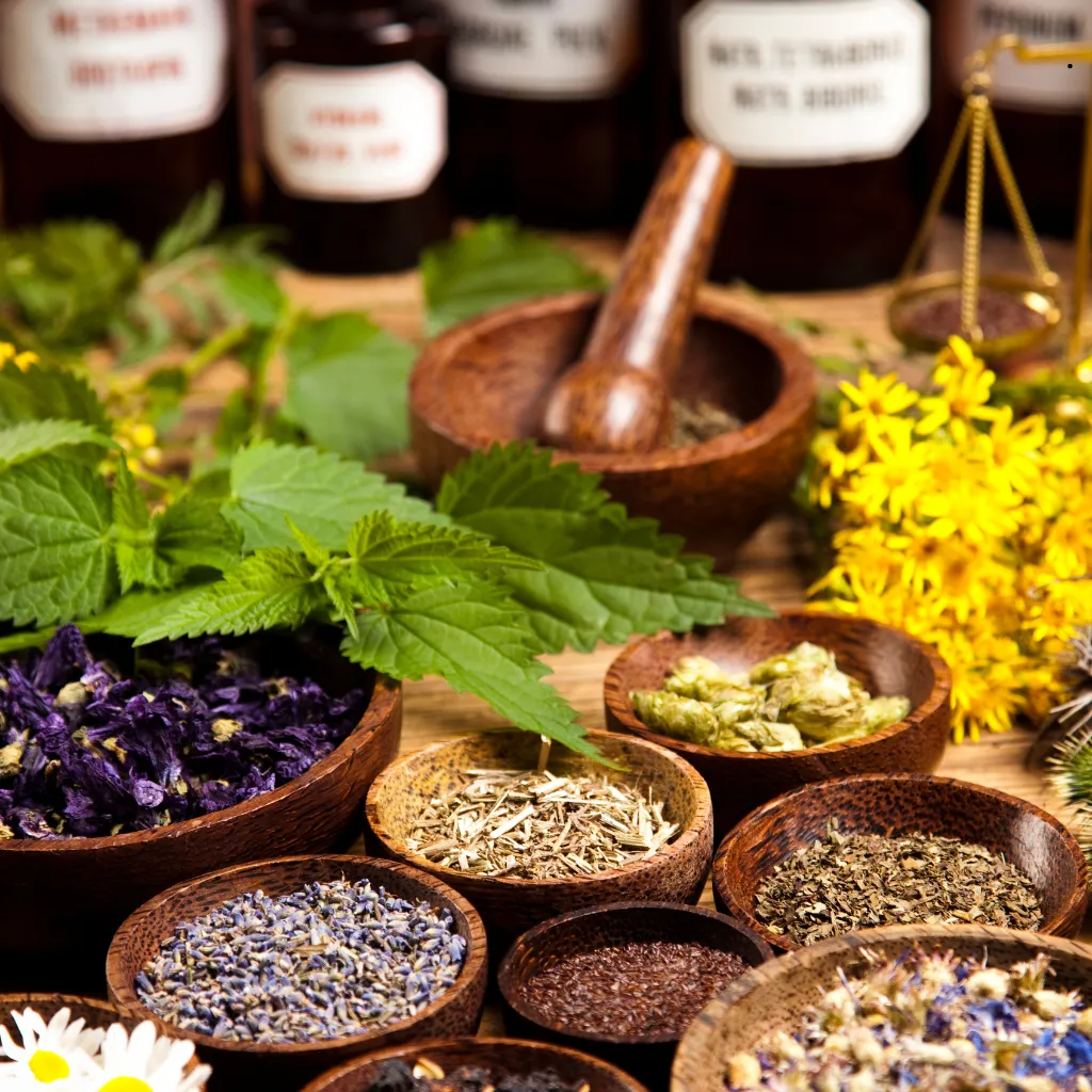 LICQual Level 7 Postgraduate Diploma in Natural Products and Herbal Medicine (PgD Natural Products and Herbal Medicine)
