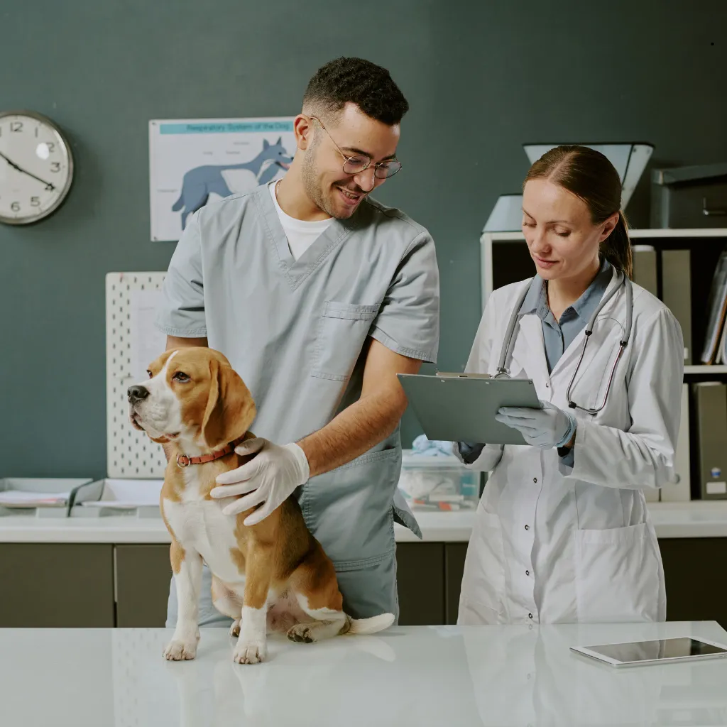QualCert Level 3 Certificate in Veterinary Pharmacy (Cert Veterinary Pharmacy)
