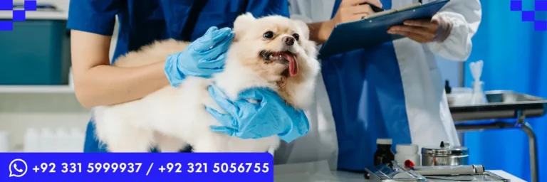 QualCert Level 3 Certificate in Veterinary Pharmacy (Cert Veterinary Pharmacy)